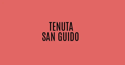 Tenuta San Guido
